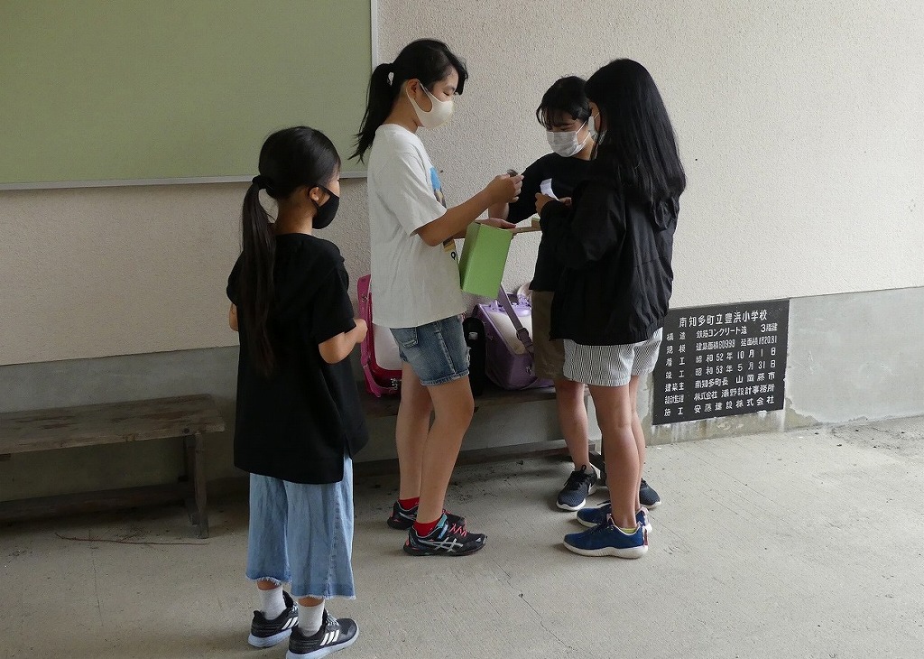 緑の羽根募金活動 南知多町立豊浜小学校